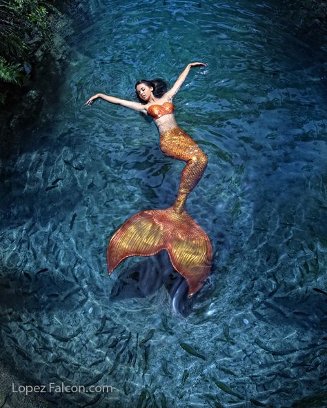 Mermaids Quince miami photography Mermaid Photography Underwater, Mermaids Realistic, Mermaid Photo Shoot, Mermaid Photoshoot, Art Adventure Time, Underwater Mermaid, Mermaid Underwater, Realistic Mermaid, Art Vampire