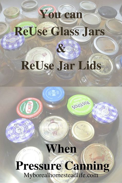 Reuse glass jars and ruse jar lids to pressure can Vegan Beans How To Preserve Food In Jars, How To Sterilize Canning Jars, Canning Lid Storage, Canning Kitchen Ideas, Canning Ring Storage, Canning Jar Storage Ideas, Reusing Glass Jars, Canning Pickles Recipe, Canning Garden