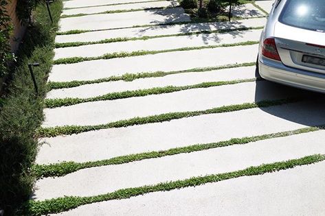 Polished concrete strip driveway for three cars Concrete Strip Driveway, Concrete Grass Driveway, Strip Driveway, Driveway Strip, Planing Ideas, Landscape Design Melbourne, Garden Planing, Grass Driveway, Melbourne Garden