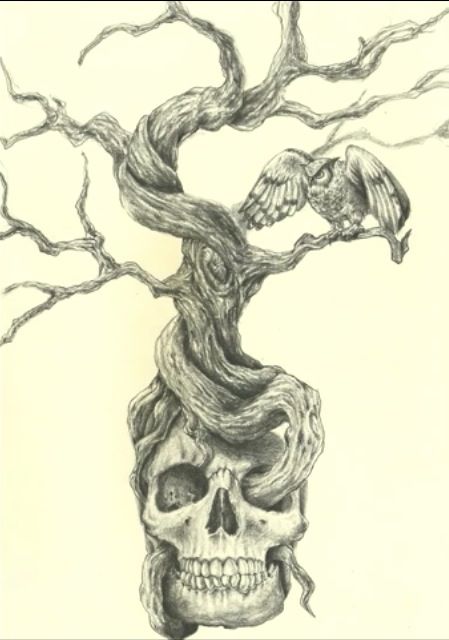 Skull tree                                                                                                                                                                                 More Tree Roots Skull Tattoo, Tree Skull Tattoo, Fey Wanderer, Dead Tree Tattoo, Tattoo Crane, Skulls Tattoo, Dead Tree, Skull Art Drawing, Tree Tattoo Designs