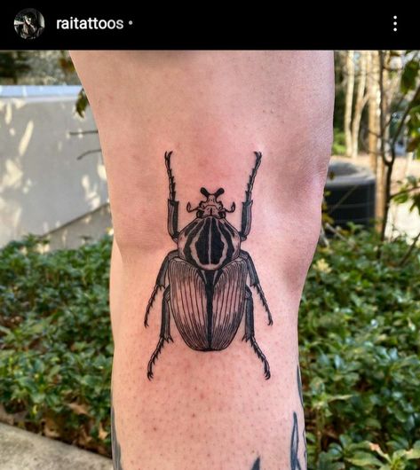 Goliath Beetle, Beetle Tattoo, Knee Tattoo, Side Tattoos, Line Work, Black Line, Body Modifications, Forest Fairy, Tattoos And Piercings