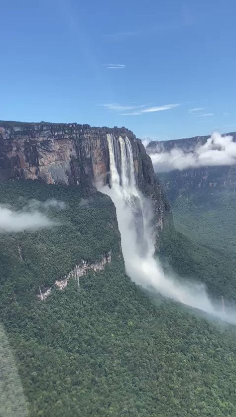 This is Angel Falls, the highest uninterrupted waterfall in the world Angel Falls Venezuela, Angel Falls, Science Girl, Gods Creation, Fallen Angel, Unesco World Heritage Site, Wonderful Places, 2 A, Natural World