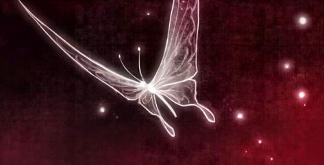 Silver butterflies Tgcf Silver Butterflies, Silver Butterfly Wallpaper Tgcf, Silver Butterfly Aesthetic, Hua Cheng Silver Butterflies, Silver Butterflies Tgcf, Heaven Official’s Blessing Butterflies, Hua Cheng Butterfly Tattoo, Heavens Official Blessing Butterfly, Tgcf Butterflies