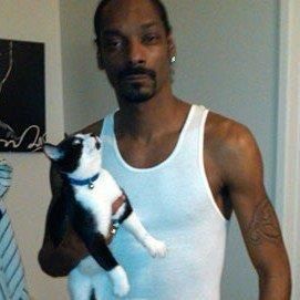 Snoop Dogg Pfp, Snoop Dogg Funny, Cat Lol, 90s Rappers Aesthetic, Dog Icon, Snoop Dog, Funny Profile, Miles Davis, Funny Profile Pictures