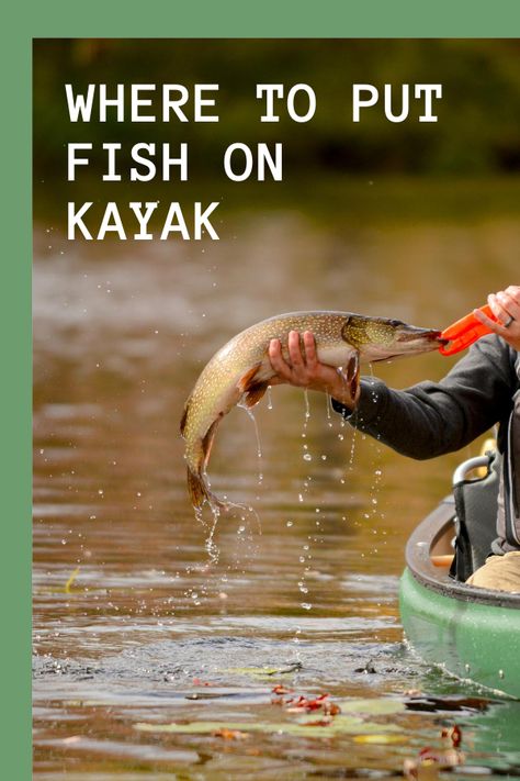 Where To Put Fish On Kayak? - Kayak Help Sit In Kayak Fishing Mods, Kayak Accessories Ideas, Kayak Accessories Diy, Fishing Kayak Mods, Fishing Kayak Ideas, Kayak Photography, Kayak Tips, Kayak Mods, Motorized Kayak