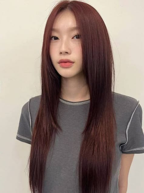 Korean red brown hair: long and sleek haircut Red Brown Hair Color Asian, Reddish Brown Hair Asian, Red Brown Hair Makeup, Red Brown Asian Hair, Korean Copper Hair, Prettiest Hair Color, Red Brown Hair Asian, Korean Brown Hair Color, Non Bleach Hair Color