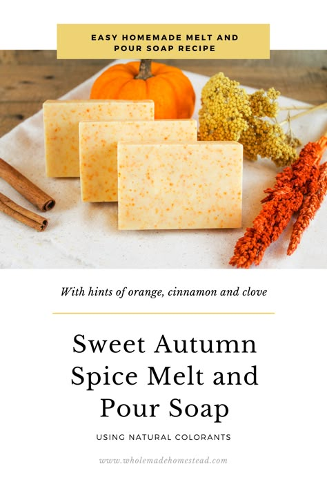 Melt And Pour Pumpkin Soap, Apple Cinnamon Melt And Pour Soap, Apple Cinnamon Oatmeal Soap, Pumpkin Spice Soap Melt And Pour, Homemade Fall Soap Recipes, Melt And Pour Soap Recipes For Fall, Autumn Melt And Pour Soap, Pumpkin Melt And Pour Soap, Fall Melt And Pour Soap Recipes