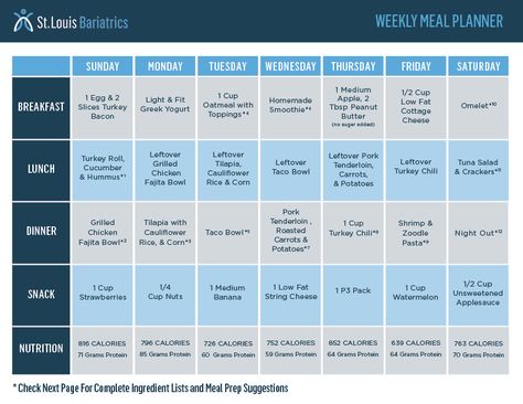 Healthy Eating Games, Gastric Bypass Diet, Low Fat Breakfast, Greek Yogurt Smoothie, Meal Plan Template, Weekly Meal Plan Template, Yogurt Toppings, Bariatric Diet, Meal Planning Template