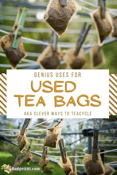 Tea Bag Storage Containers, Crafts With Tea Bags, Art With Tea Bags, What To Do With Used Tea Bags, What To Do With Used Tea Leaves, Uses For Used Tea Bags, How To Make Your Own Tea Bags, What To Do With Tea Bags, How To Store Tea Bags