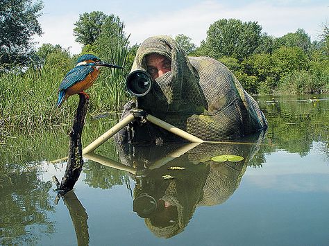 Nature Photographer Wildlife Photography Tips, Photographer Humor, Strange Photos, Artist Life, An Elephant, Nature Photographs, Kingfisher, 귀여운 동물, Beautiful Moments