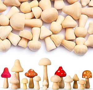 40 Pcs Unfinished Wooden Mushroom Natural Mini Wood Mushrooms Various Sizes Wood Mushroom Figures for Arts and Crafts, DIY Projects Ornaments Paint Color Home Desk Bookshelves Decoration Wood Mushrooms, Wooden Mushrooms, Mushroom Kits, Mushroom Decor, Bookshelf Decor, Decorate Your Room, Arts And Crafts Projects, Unfinished Wood, Creative Kids