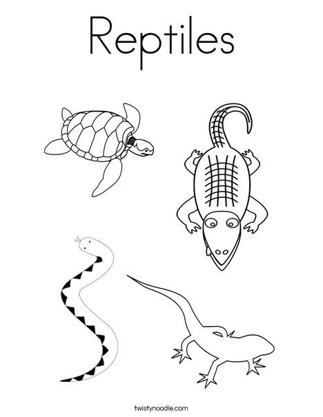 Reptiles Coloring Page from TwistyNoodle.com Learning Coloring Pages, Reptiles Preschool, Pictures Of Reptiles, Reptiles Activities, Reptile Crafts, Childcare Ideas, Reptile Party, Sight Word Coloring, Twisty Noodle