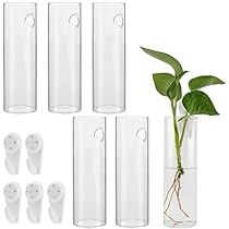 Propagation Containers, Hanging Glass Terrarium, Wall Mounted Planters, Vase Display, Gothic Garden, Plant Propagation, Glass Flower Vases, Plants Garden, Plant Vase