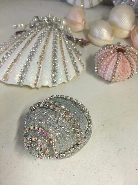 Sea Urchin Shell Crafts, Sea Shell Ideas, Painted Sea Shells Ideas, Sea Shells Painting, Glitter Seashells, Painting Sea Shells, Shell Painting Ideas, Sea Shell Painting, Seashells Aesthetic