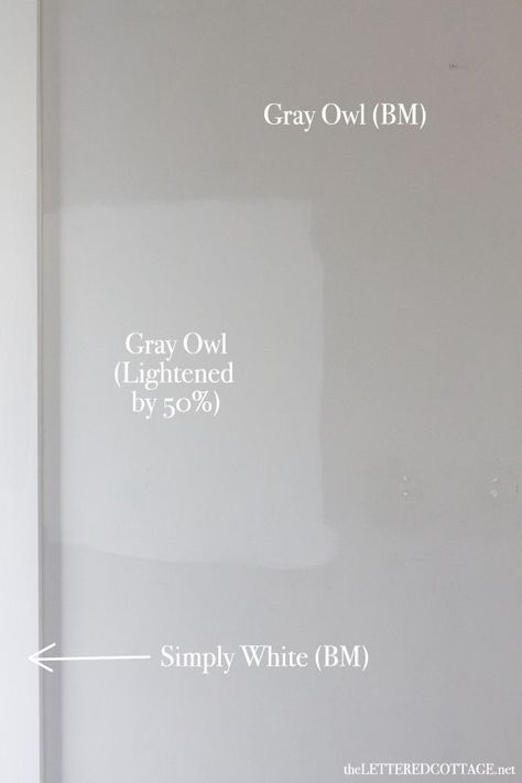 Top Neutral Paint Color - Benjamin Moore Gray Owl OC-52 - Resource Center - Spectrum Paint - Top Quality Paint & Coatings Solutions Fog Mist Benjamin Moore Master Bedrooms, Grey Owl 50% Lighter, Paint Color Lightened 50%, Bm Owl Gray, Gray Owl Lightened 50%, Grey Owl Paint Color, Benjamin Moore Gray Owl Bathroom, Gray Owl Benjamin Moore Cabinets, Gray Owl Benjamin Moore Bedroom