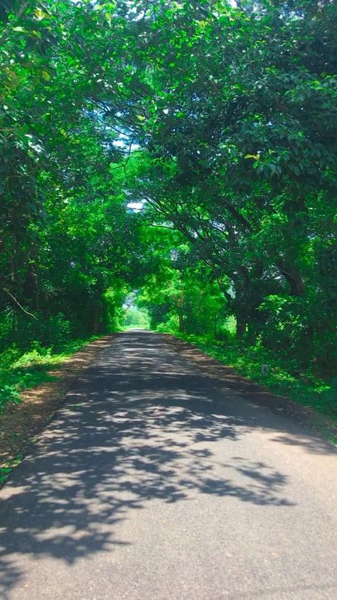 Village Snap, Digital Photography Backgrounds, Nature Background Images, Green Screen Background Images, Beach Background Images, Sky Photography Nature, Landscape Photography Nature, Dslr Background Images, Best Background Images