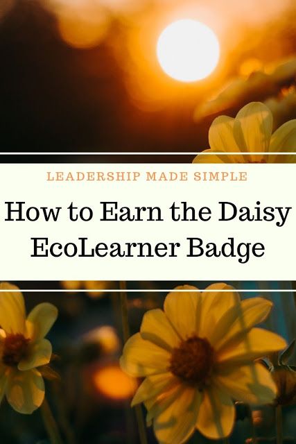 Daisy Eco Learner Badge Activities, Daisy Math In Nature Badge, Buddy Camper Badge Daisy, Daisy Trail Adventure Badge Ideas, Eco Learner Daisy Badge Ideas, Outdoor Art Maker Badge Daisy Ideas, Daisy Shapes In Nature Badge Ideas, Daisy Girl Scouts Badges, Daisy Badge Ideas