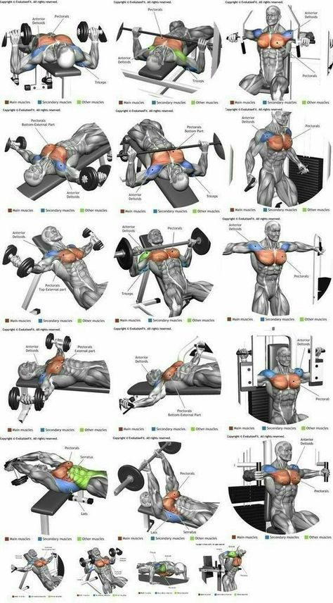 Best Chest Workout Routine, Chest Workout For Men, Chest Workout Routine, Latihan Dada, Chest Exercises, Best Chest Workout, Gym Workout Planner, Gym Workout Chart, Gym Workouts For Men