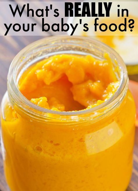 Do you know what's in your baby's food? Now you can know! #ad #CLPBabyFoodMagnified @thecleanlabel Squash Baby Food Recipe, Butternut Squash Baby Food, Baby Food By Age, Puree Recipes, Diy Baby Food, Raspberry Leaf Tea, Baby Food Ideas, Healthy Baby Food, Baby Food Storage