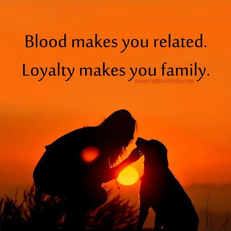 Blood makes you related, Loyalty makes you family - Quote. Dog Loyalty Quotes, Quotes Loyalty, Dog Names Unique, Dogs Quotes, Family Loyalty, Funny German Shepherd, Loyalty Quotes, Dog Quotes Love, Dog Clothes Diy