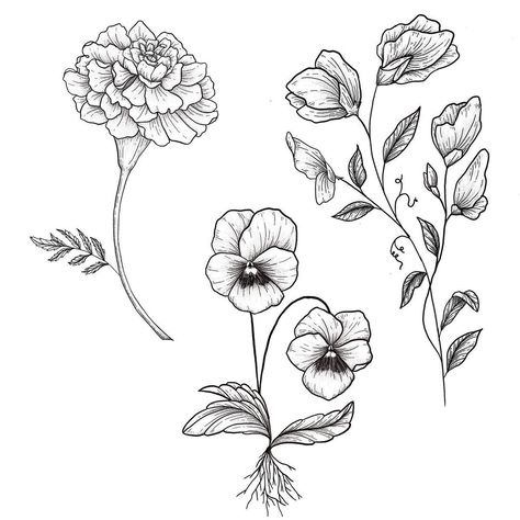 Pansy Tattoo Design, Marigold Outline, Pansy Tattoos, Pansy Flower Tattoo, Pansy Illustration, Pansy Drawing, Lisa Tattoo, Sweet Pea Tattoo, Pansy Tattoo