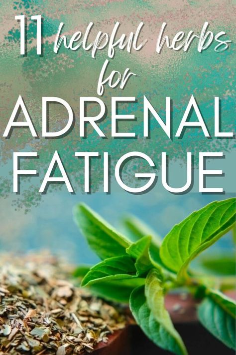 11 Best Herbs For Adrenal Fatigue Relief & Recovery - A Radiantly Healthy Life Herbs For Adrenal Support, Adrenal Fatigue Breakfast, Adrenal Fatigue Essential Oil Blend, Herbs For Adrenal Fatigue, Essential Oils For Adrenal Fatigue, Adrenal Fatigue Essential Oils, Adrenal Exhaustion, Adrenal Fatigue Supplements, Fatigue Syndrome