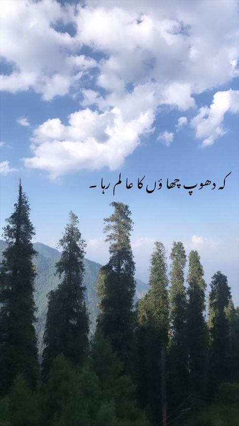 One Line Poetry, Golden Words In Urdu, John Elia Poetry, One Word Instagram Captions, Golden Words, One Line Quotes, Love Quotes In Urdu, Poetry Photos, Aesthetic Captions