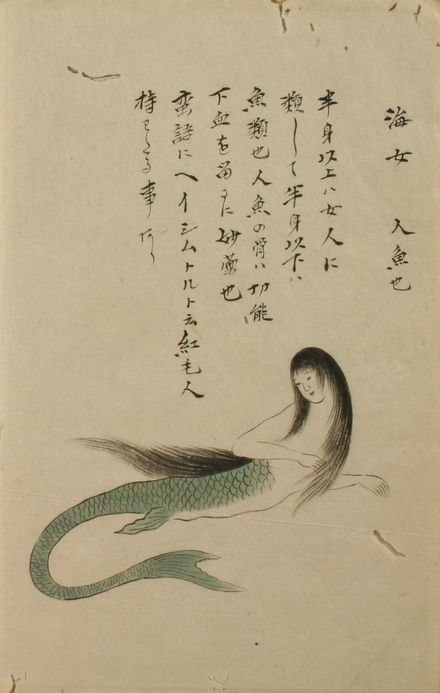 Things Heard And Seen, Mermaid History, Japanese Mermaid, Japan Illustration, Japanese Mythology, Water Spirit, Mermaid Tattoos, The Gentleman, Nagasaki