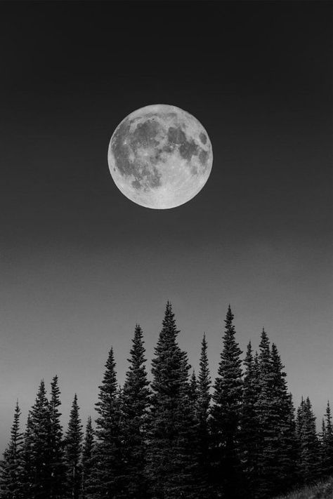 Full Moon June, Space Black And White, Charcoal Artwork, White Moon, Moon Pictures, Charcoal Art, Moon Photography, Photography Classes, White Charcoal