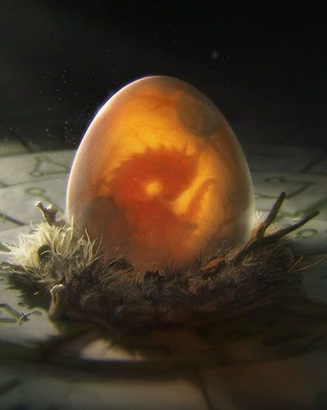 Dragon Nest, Beautiful Dragon, Dragon Egg, Dragon Eye, Egg Art, Fantasy Novel, Fantasy Dragon, High Fantasy, Photo Overlays