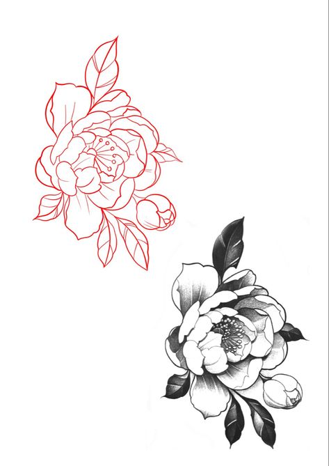 Japanese Style Peony Tattoo, Peony Flower Tattoo Stencil, Hand Peony Tattoo, Peony Tattoo Stencil Outline, Peony Stomach Tattoo, Peony Sketch Tattoo, Tattoo Designs For Practice, Peony Tattoo Realism, Tattoo Stencil And Reference