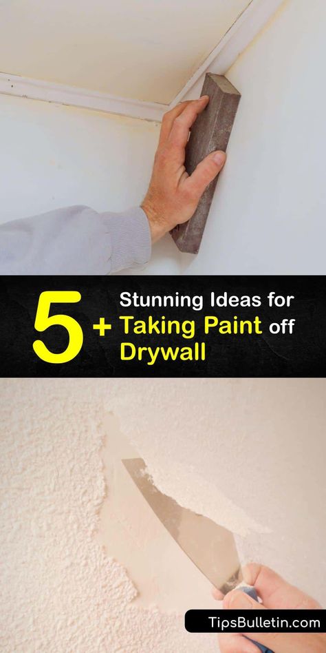 Paint removal, especially wallpaper removal, is a chore if you don’t have tips to guide you. Learn the ins and outs of removing paint from household surfaces with easy-to-follow tutorials and inexpensive supplies. Say goodbye to peeling paint and hello to exciting new looks. #remove #paint #drywall How To Remove Wallpaper From Drywall, How To Fix Drywall Damage, How To Prep Walls Before Painting, How To Prep Walls For Paint After Removing Wallpaper, How To Remove Sheetrock Drywall, How To Remove Paint, Removing Paint, Wallpaper Removal, Paint Removal