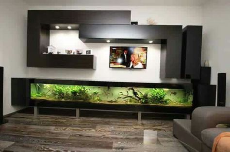 Nice Wall Aquarium, Kolam Koi, Fabric Room Dividers, Glass Room Divider, Sliding Room Dividers, Living Room Divider, Wooden Room Dividers, Hanging Room Dividers, Aquarium Stand