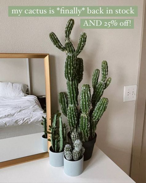 My faux cactus is finally back in stock and is on sale! faux cactus, faux cacti, realistic plant, realistic faux plants, realistic faux tree, realistic faux flowers, living room decor, living room inspiration, dining room decor, dining room inspiration, fake plants, fake olive tree http://liketk.it/36SSe @liketoknow.it #liketkit#LTKhome #LTKsalealert #LTKunder100 Fake Olive Tree, Flowers Living Room, Tree Bedroom, Austin Apartment, Faux Cactus, Southwestern Boho, Cactus Decor, Faux Tree, Dining Room Inspiration