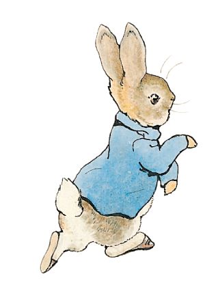 Peter Rabbit Illustration, Beatrix Potter Nursery, Beatrix Potter Illustrations, Tale Of Peter Rabbit, Boys First Birthday Party Ideas, Benjamin Bunny, Velveteen Rabbit, Rabbit Tattoos, Rabbit Illustration