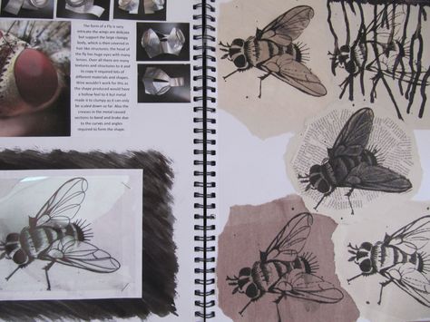 insects - sketchbooks Punk Academia, Drawing Medium, Sketchbook Layout, Textiles Sketchbook, Natural Form Art, Gcse Art Sketchbook, A Level Art Sketchbook, Insect Art, Gcse Art