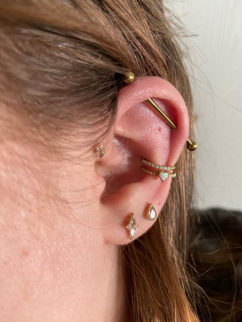 Conch With Industrial Piercing, Ear Piercings Orbital Conch, Ear Styling With Industrial, Conch Industrial Piercing, Industrial And Forward Helix Piercing, Industrial And Conch Piercing, Conch And Industrial Piercing, Industrial And Helix Piercing, Double Industrial Piercing