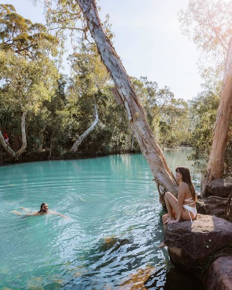 Lady Musgrave Island, Yeppoon Queensland, Swim With Turtles, Tropical Travel Destinations, Australia Bucket List, Australian Road Trip, Eco Resort, Manta Rays, Fraser Island