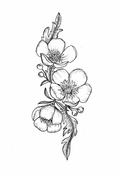 Buttercup Flower Tattoo, Fiori Art Deco, Hawthorne Flower, Wildflowers Tattoo, Unusual Tattoo, Buttercup Flower, Kunst Tattoos, Flower Drawings, Stomach Tattoos