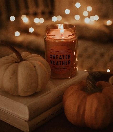 Helloween Wallpaper, Fall Mood Board, Thanksgiving Wallpaper, Cute Fall Wallpaper, Fall Background, Autumn Scenery, Fall Feels, Fall Halloween Decor, Happy Fall Y'all