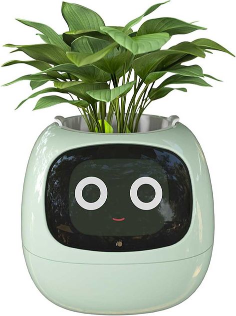 NEWS – Say hello to AMPULLA Ivy, the smart flowerpot. AMPULLA is like a Tamagotchi, but for plants. This cute little flower pot has a face that can show over 70 expressions to let you know the health status of your leafy friend. How does it do this? It has 7 sensors that track temperature, … Can this cute little smart flowerpot turn your black thumb to green? Read More Cool Gadgets On Amazon, Small Flower Pots, App Ios, Modern Planters, Different Emotions, Plant Species, Green Gifts, Feelings And Emotions, Plant Needs