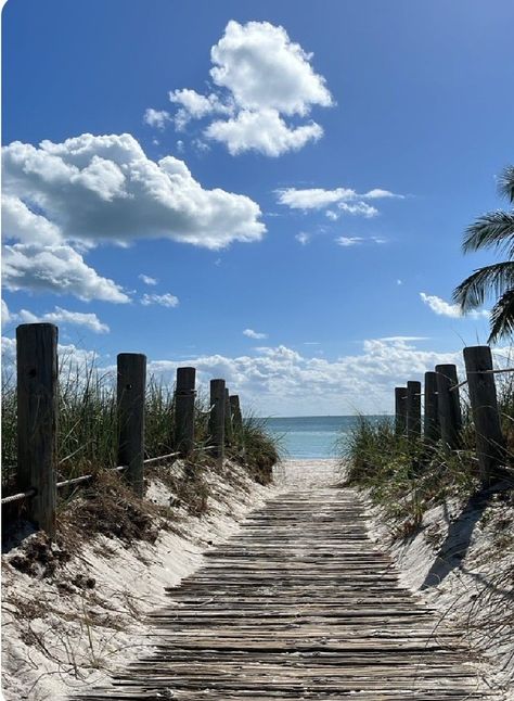 Beach Pathway, Path Art, Beach Path, Art Photography, Siding, Photography, Art