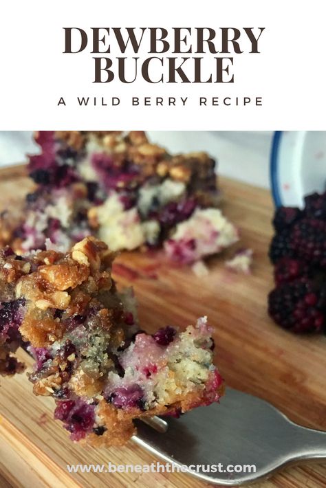 Wild Berry Recipes, Dew Berry Recipes, Wild Blackberry Recipes, Dewberry Cobbler Recipe, Dewberry Cobbler, Dewberry Recipes, Berry Buckle, Simple Sweets, Farmer Market