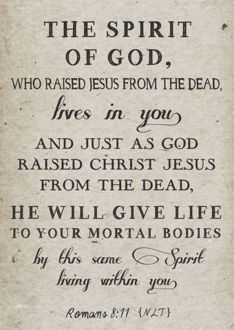 Romans 8 11, Vertrouw Op God, God And Jesus, Spirit Of God, God Loves You, Scripture Quotes, Verse Quotes, Scripture Verses, Bible Verses Quotes