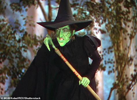 The former aide likened Trump to the Wicked Witch of the West who terrorized the land of Oz in the 1939 film classic Wizard Of Oz Movie, Margaret Hamilton, Wizard Of Oz 1939, Oz Movie, Which Witch, Wicked Witch Of The West, Witch Of The West, Green Characters, Land Of Oz