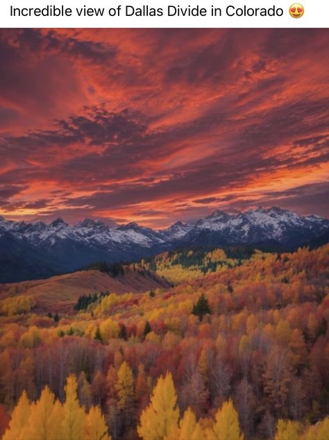 Colorado Fall, Colorado Photography, Telluride Colorado, Estes Park Colorado, Fall Images, Mountain Pass, High Mountain, Autumn Scenery, Scenic Beauty