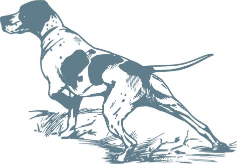 hunting animal dog pointer - Free SVG Image & Icon. Dog Hunting Tattoo, Hound Hunting Tattoos, Hunting Dog Tattoo, Hunt Drawing, Hunting Dog Drawing, German Shorthaired Pointer Tattoo Outline, Hunting Drawings, Hunting Dog Illustration, Hunting Dog Painting