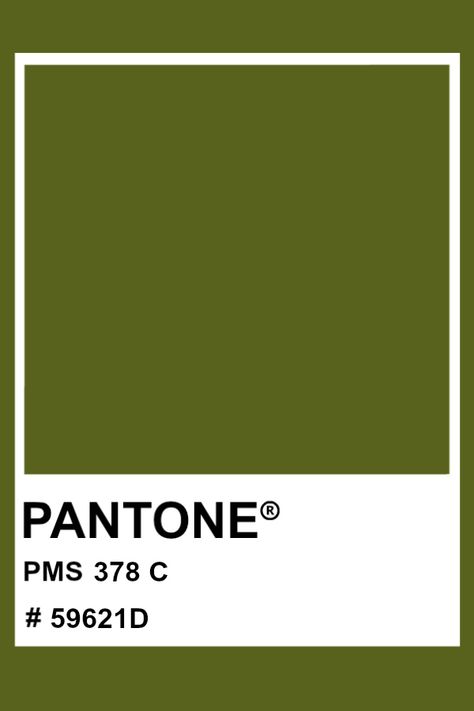 PANTONE 378 C #pantone #color #PMS #hex Pantone Green Shades, Colour Pantone, Pantone Green, Green Room Decor, Pantone Swatches, Palette Projects, Pantone Colour Palettes, Green Wedding Colors, Pantone Colors