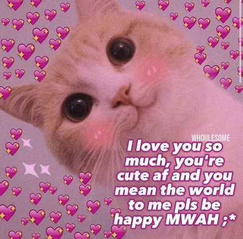 Goodmorning Cute, Wholesome Cat, You Are So Cute, Wholesome Pictures, Cute Cat Memes, Sitting In A Tree, Expressing Love, Cute Love Memes, You Mean The World To Me