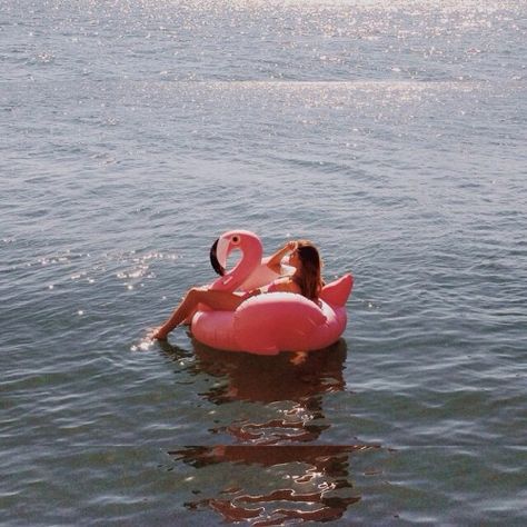 Pinterest//paintingcloudds❃ Flamingo Float, Bohol, Foto Art, Summer Inspiration, Summer Feeling, Summer Dream, New Classic, Endless Summer, Summer Of Love